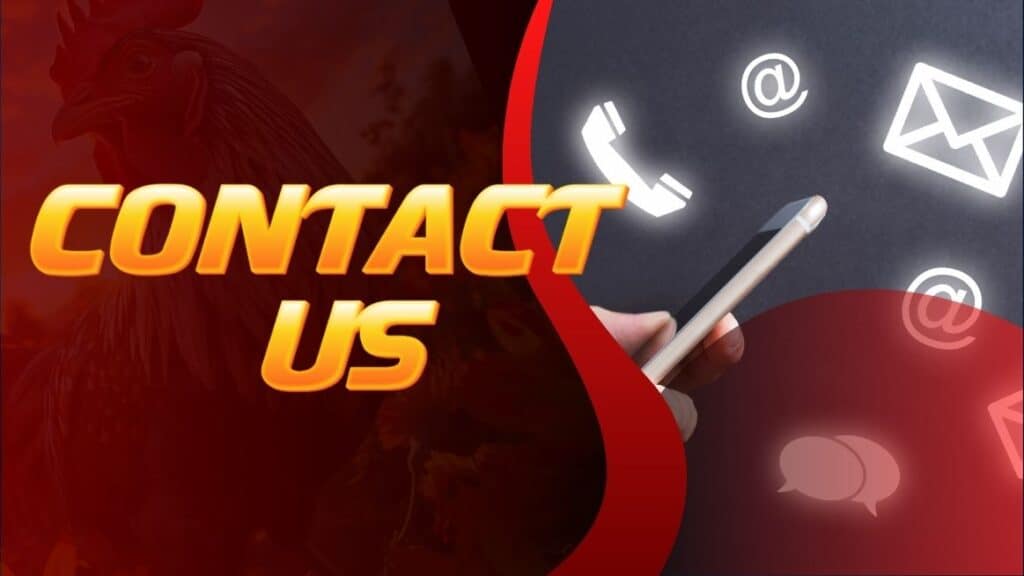 Contact Us