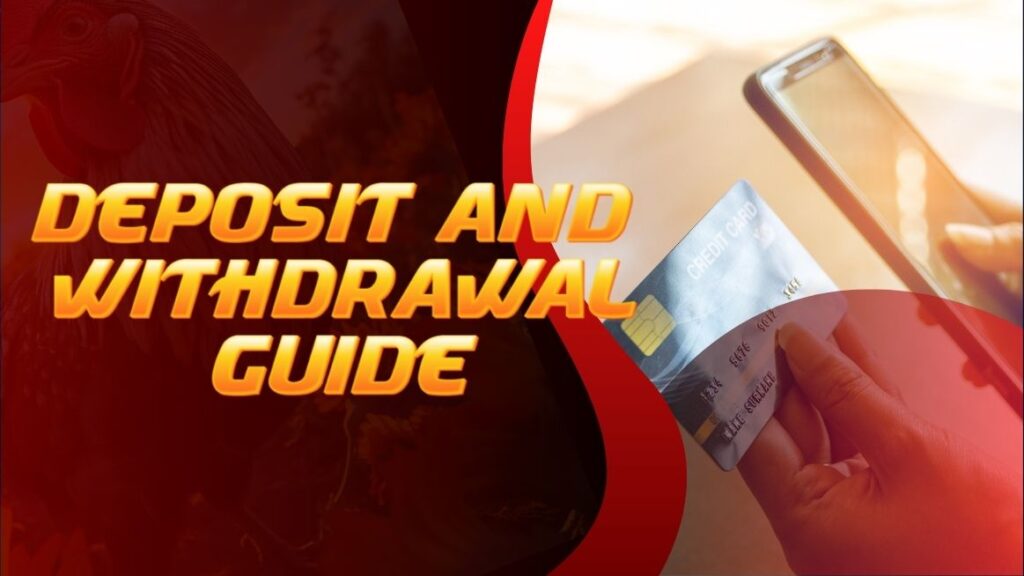 Deposit and Withdrawal Guide