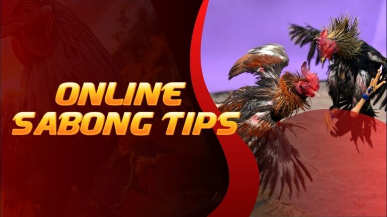 Online Sabong tips