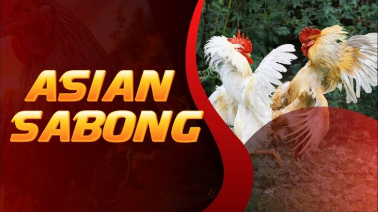 Asian Sabong | A Comprehensive Review